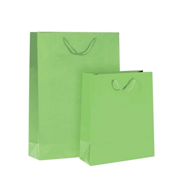 Imagine PUNGA HARTIE PLASTIFIATA MAT VERDE-CORDON 12BUC