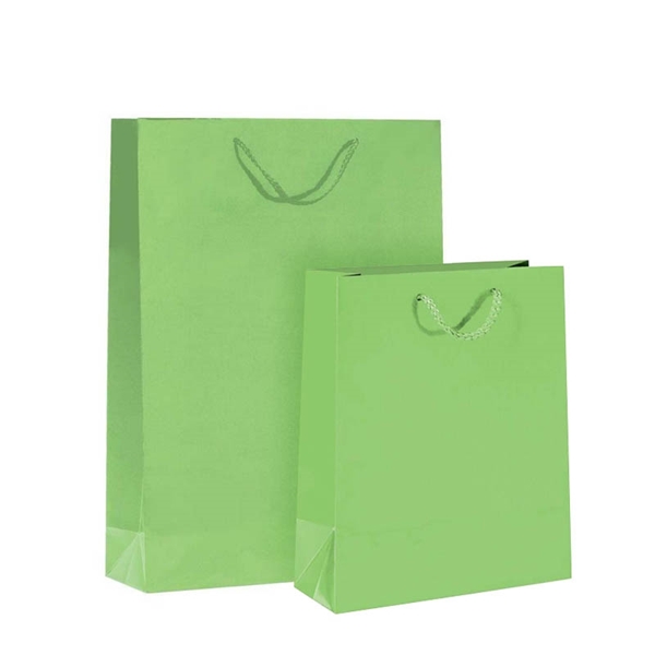 Imagine PUNGA HARTIE PLASTIFIATA MAT VERDE-CORDON 12BUC