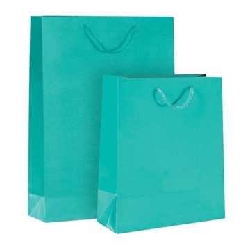 Imagine PUNGA HARTIE PLASTIFIATA MAT TURCOAZ-CORDON 12BUC