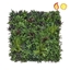 Imagine PERETE VERDE MIX PLANTE 100X100CM FR UV