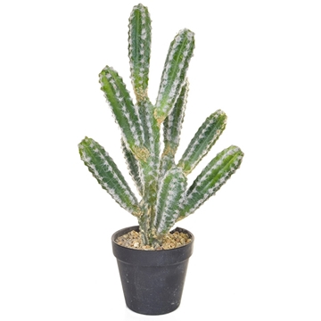 Imagine CACTUS IN GHIVECI NEGRU H44CM