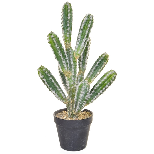 Imagine CACTUS IN GHIVECI NEGRU H44CM
