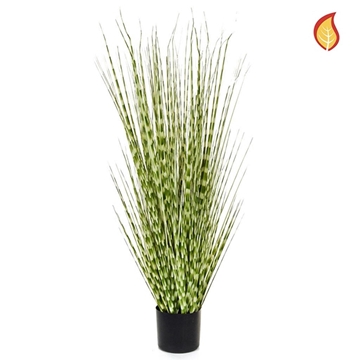 Imagine IARBA ZEBRA 120CM FR IN GHIVECI NEGRU