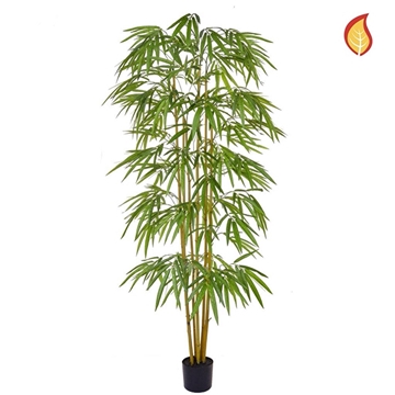 Imagine COPACEL BAMBUS 180CM FR