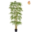 Imagine COPACEL BAMBUS 180CM FR