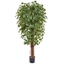 Imagine COPACEL FICUS BA 180CM