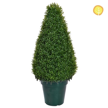 Imagine ARBUST ROZMARIN SFERIC IN GHIVECI H52CM