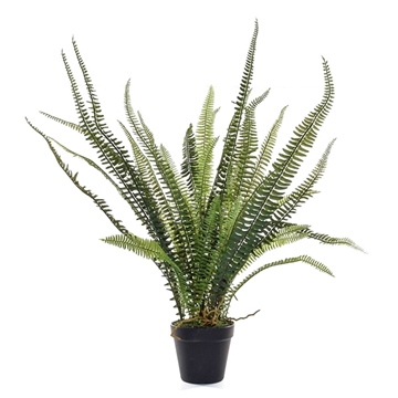 Imagine FERIGA IN GHIVECI NEGRU H54CM