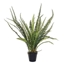 Imagine FERIGA IN GHIVECI NEGRU H54CM