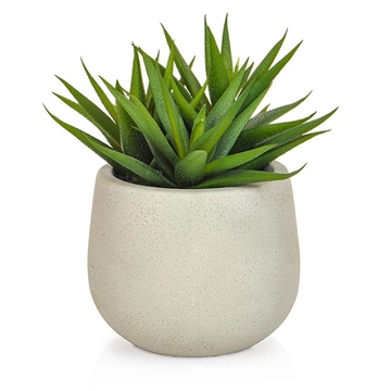 Imagine ALOE IN GHIVECI ALB H17CM
