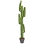 Imagine CACTUS IN GIVECI MARO H157,5CM