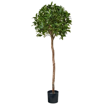 Imagine COPACEL DE DAFIN SFERA DIAM.135 CM